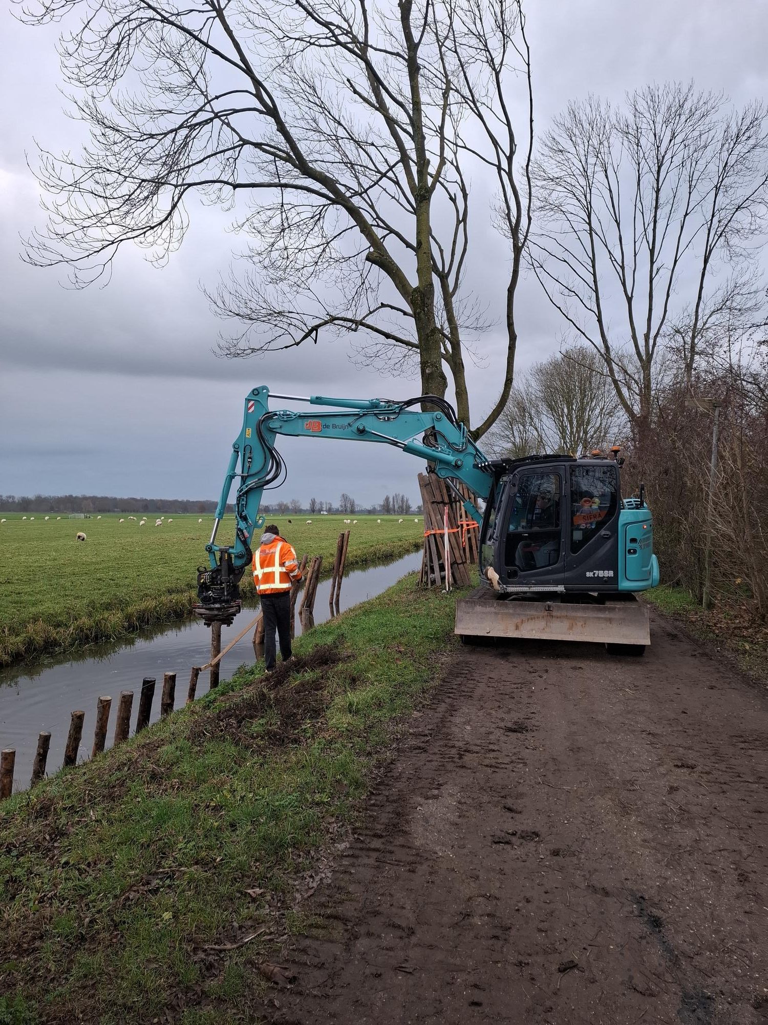 Beschoeiing en oeverwerk langs bospad in Benschop